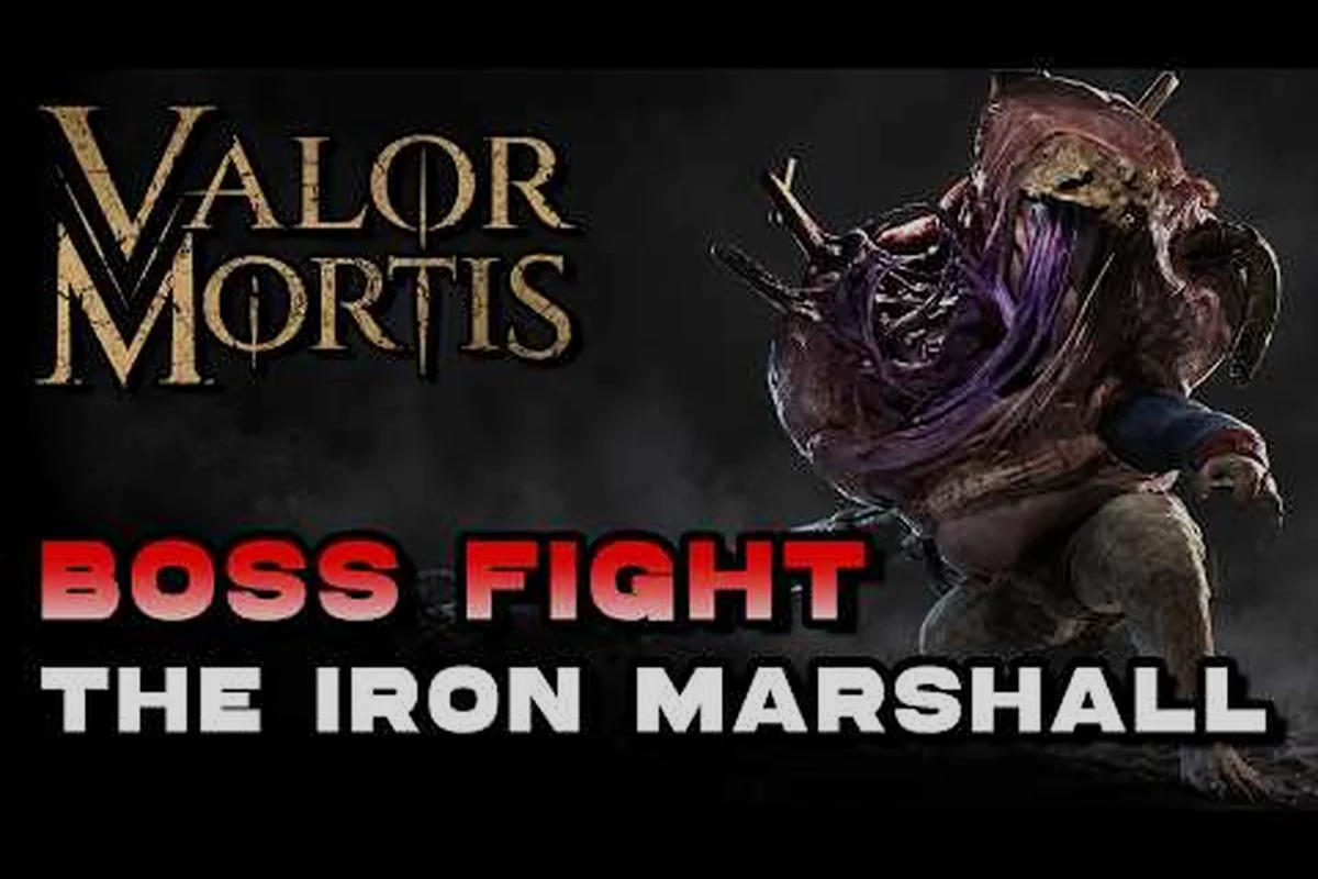 Valor Mortis Boss Weapons: Exotic Cuts, Stats & Tier Picks